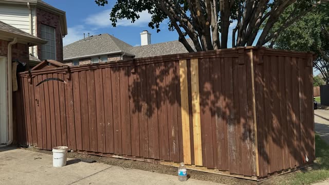 Freshly stained dark cedar fence